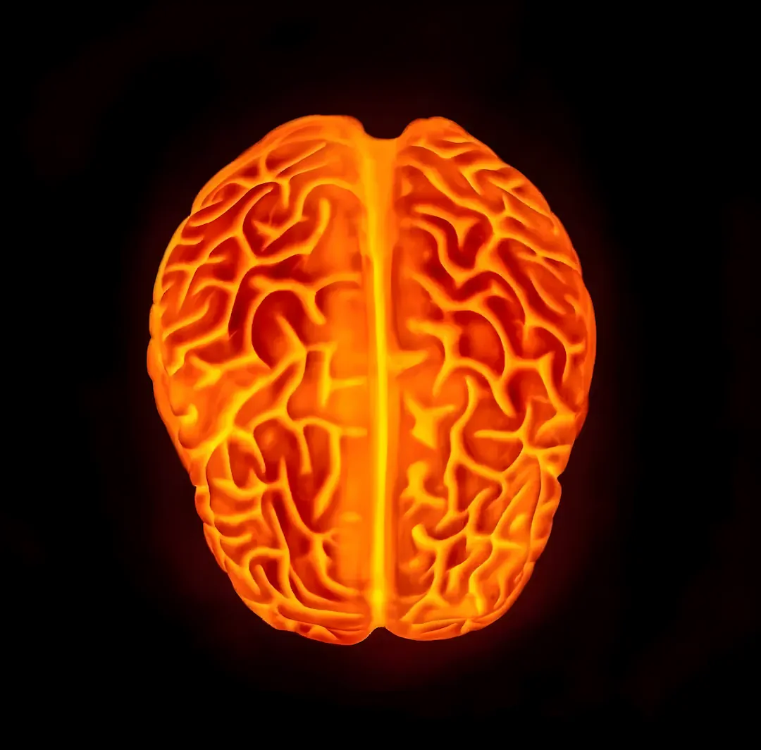 "Igual que el rayo, el sistema nervioso es electricidad. Somos alambres, resortes y cables que mandan mensajes. Miren cómo los músculos responden a la electricidad."
— Frankenweenie, Tim Burton