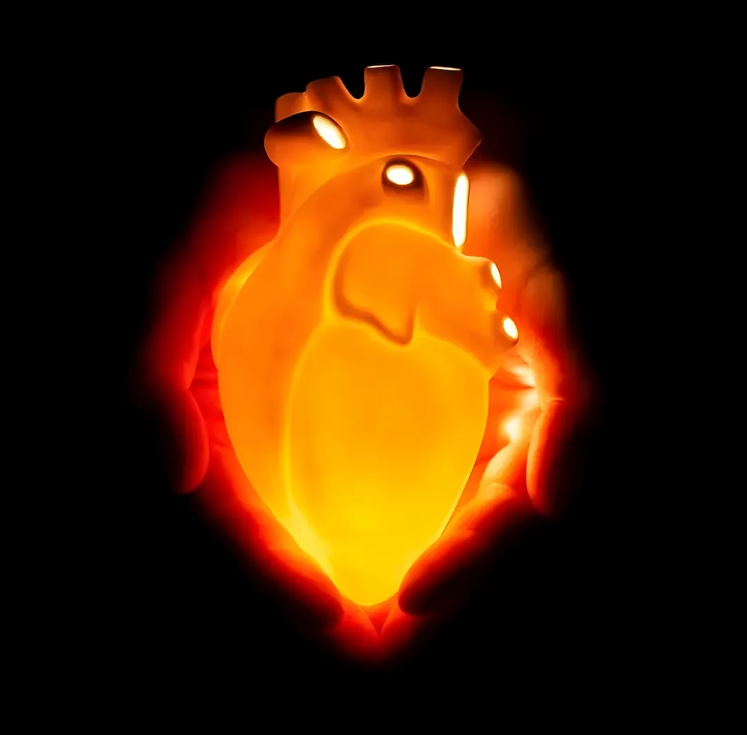 La iluminación es la realización de la verdad que ya está ahí... un corazón latente.